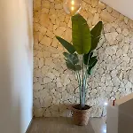 Casadicampo 斯考里