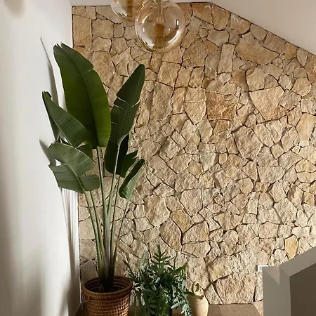 アパート Casadicampo スカウリ