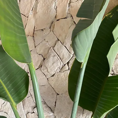 Casadicampo アパート *