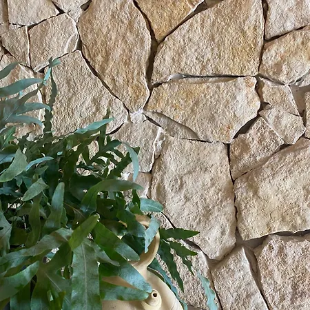Casadicampo Apartamento