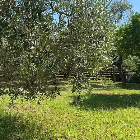 Casadicampo * Scauri (Lazio)