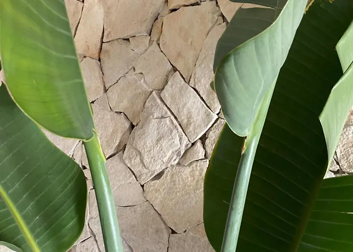 Casadicampo Lägenhet *