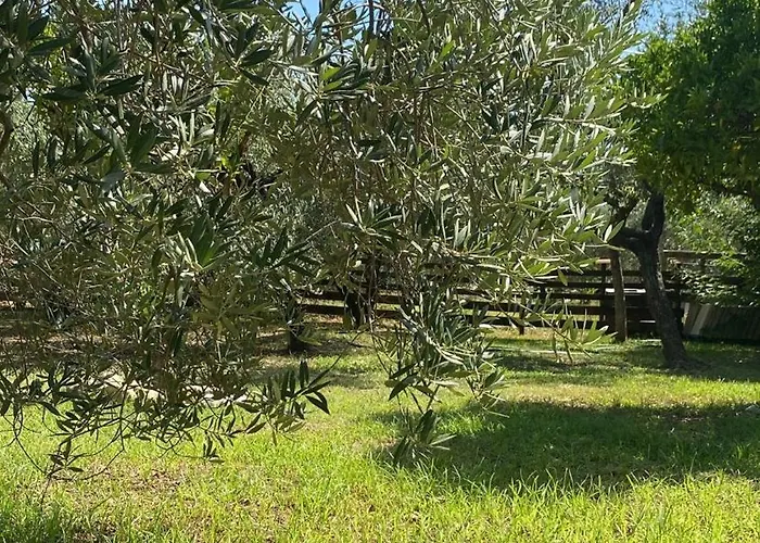 Casadicampo * Scauri (Lazio)